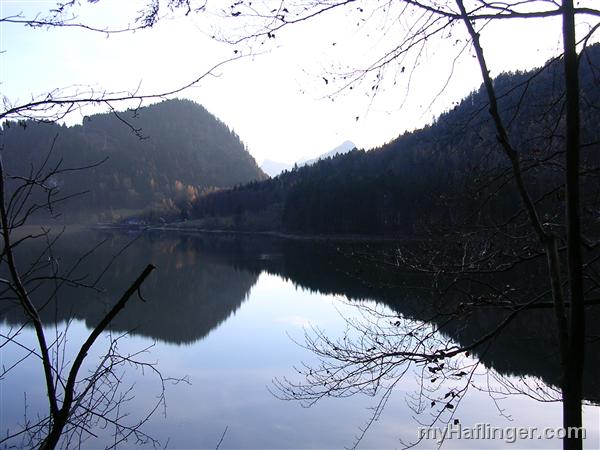 Picture: 