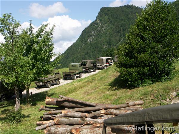 Picture: PICT0007.JPG