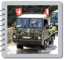 Album: 4. Int. Haflinger Treffen - Gossau (ZH)