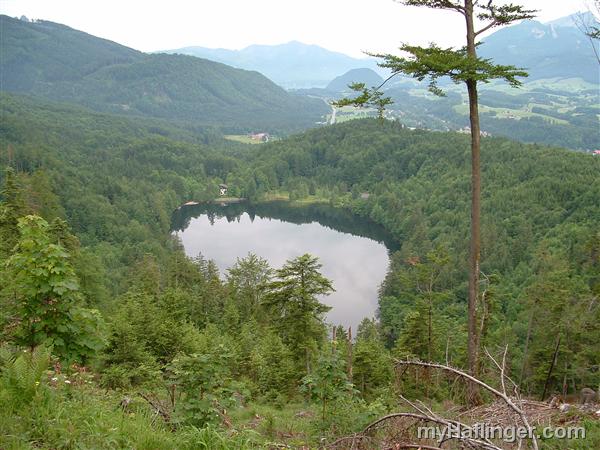 Picture: 