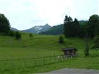 Picture: 