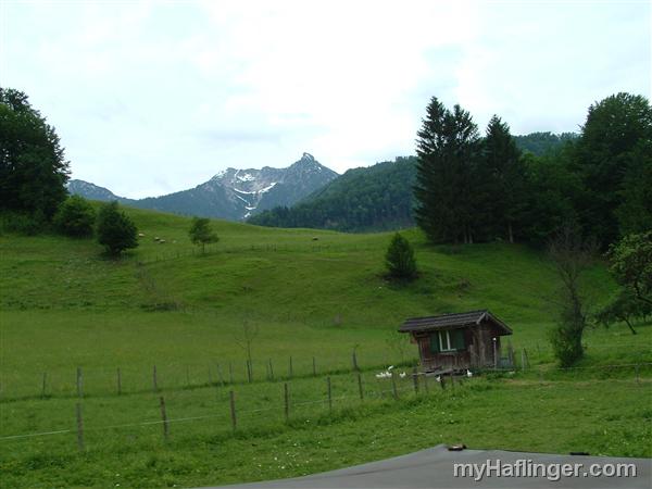 Picture: 