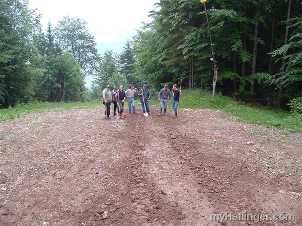 Picture: 
