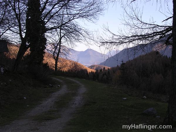 Picture: Blick in Richtung Höllengebirge