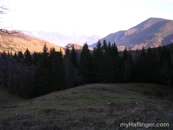 Picture: Noch ein Blick ins Höllengebirge