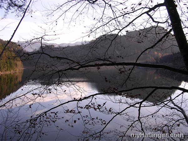 Picture: Schwarzensee