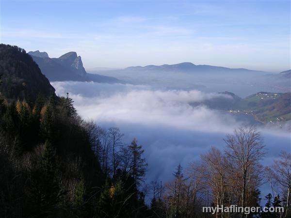 Picture: Unter dem Herbstnebel der Mondsee