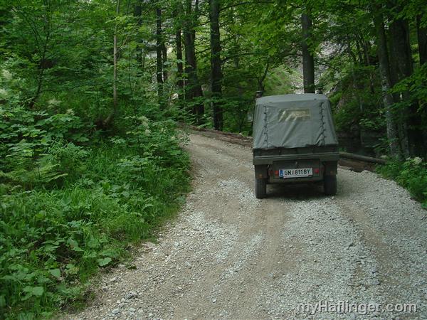 Picture: 