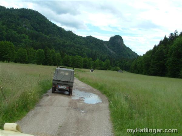 Picture: 