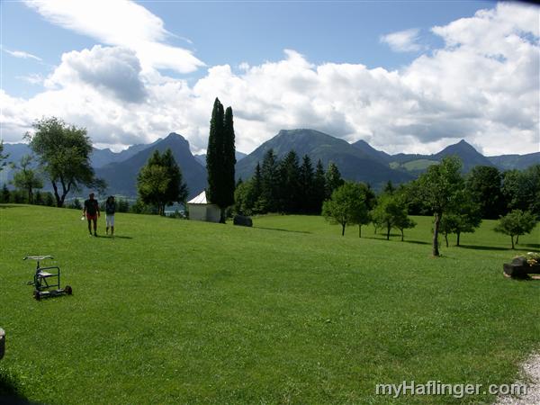 Picture: PICT0025.JPG