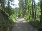 Picture: 