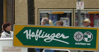 5. Int. Salzkammergut Haflingertreffen
