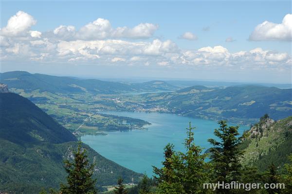 Picture: 
